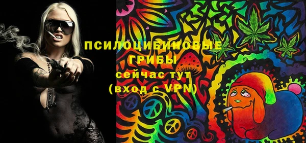 Альфа ПВП Абаза