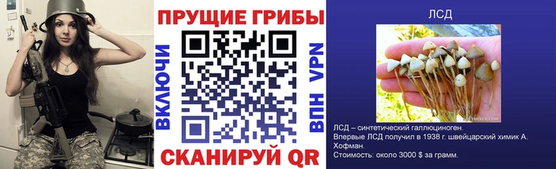 Псилоцибиновые грибы Magic Shrooms  блэк спрут ТОР  Шадринск 