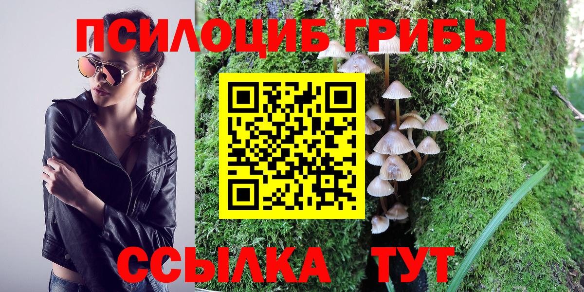 Галлюциногенные грибы мицелий  Вход с VPN  Шадринск 