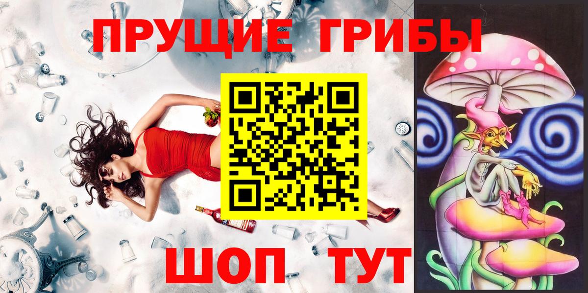 Галлюциногенные грибы Psilocybine cubensis Шадринск